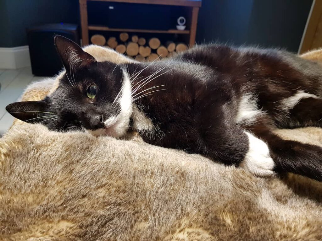 Pretty boy
