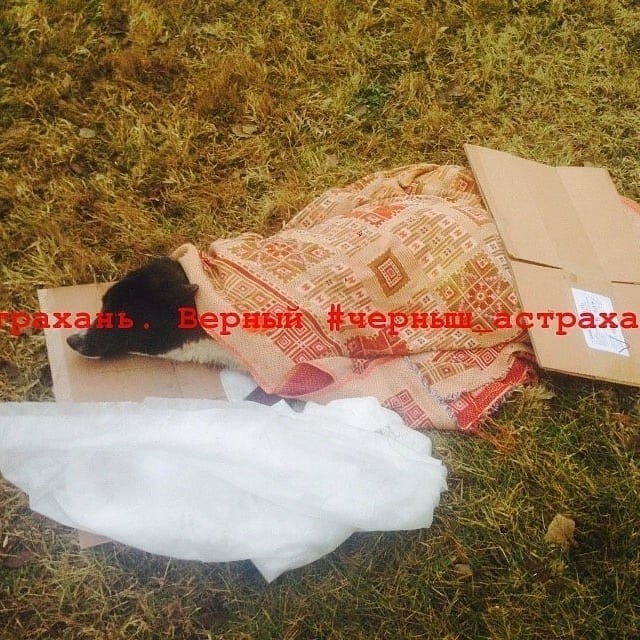 Reposted from – АСТРАХАНЬ#РЕПОСТ ДРУЗЬЯ И НАШИ ДОБРЫЕ ПОМОЩНИКИПРОШУ