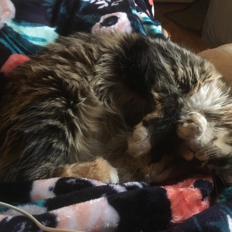 Sleepy Minnie