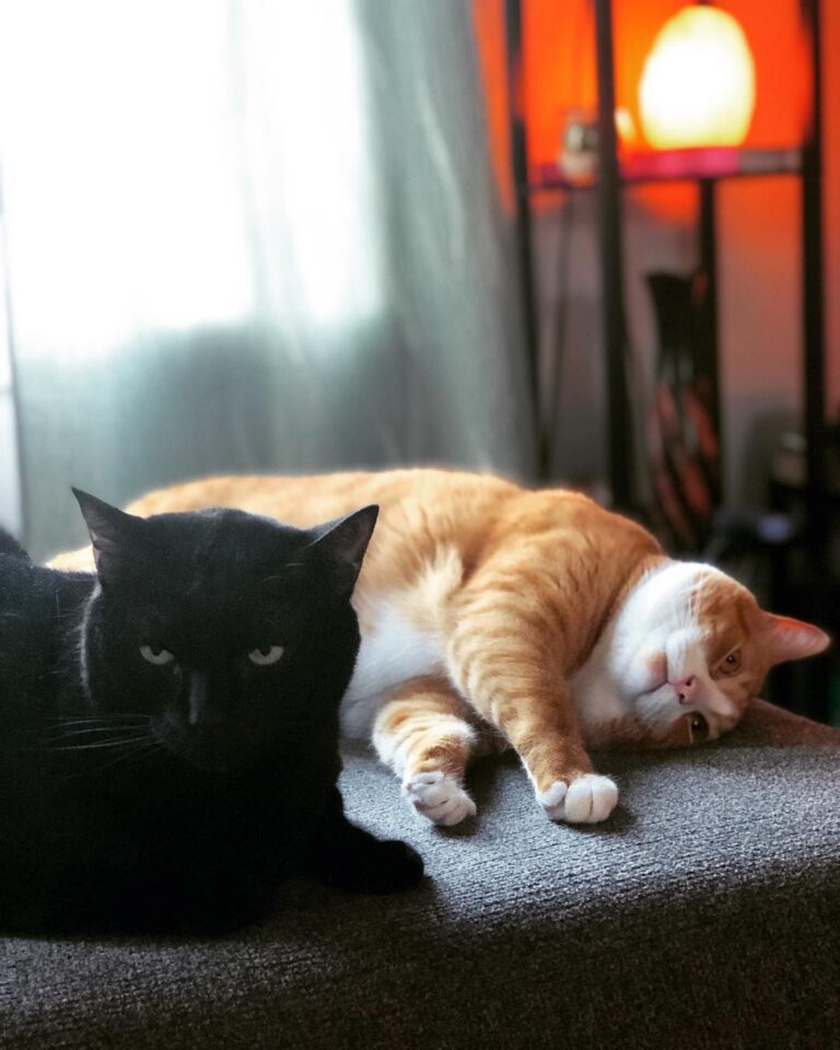Snug life