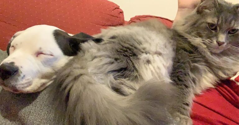 Snuggles with mum today