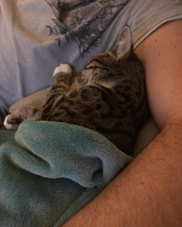 Soft kitty, warm kitty,little ball of fur!!