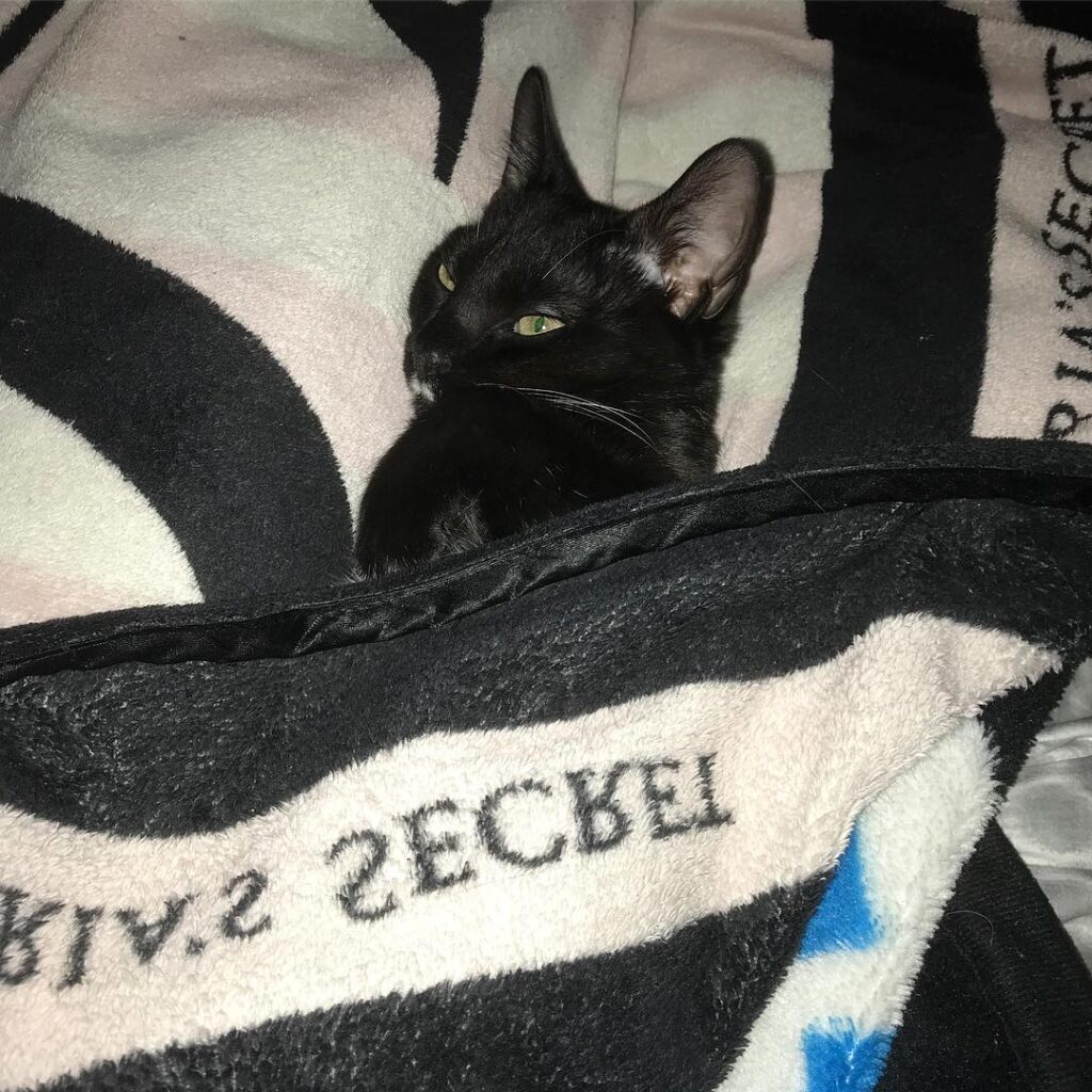 Sweet dreams little one