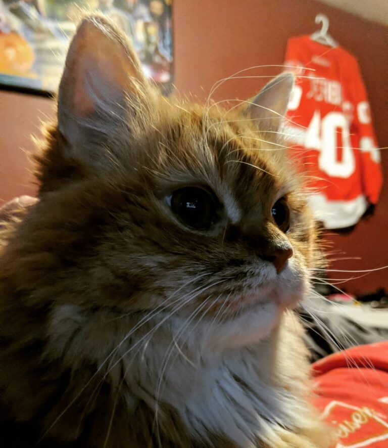 This gorgeous girl!