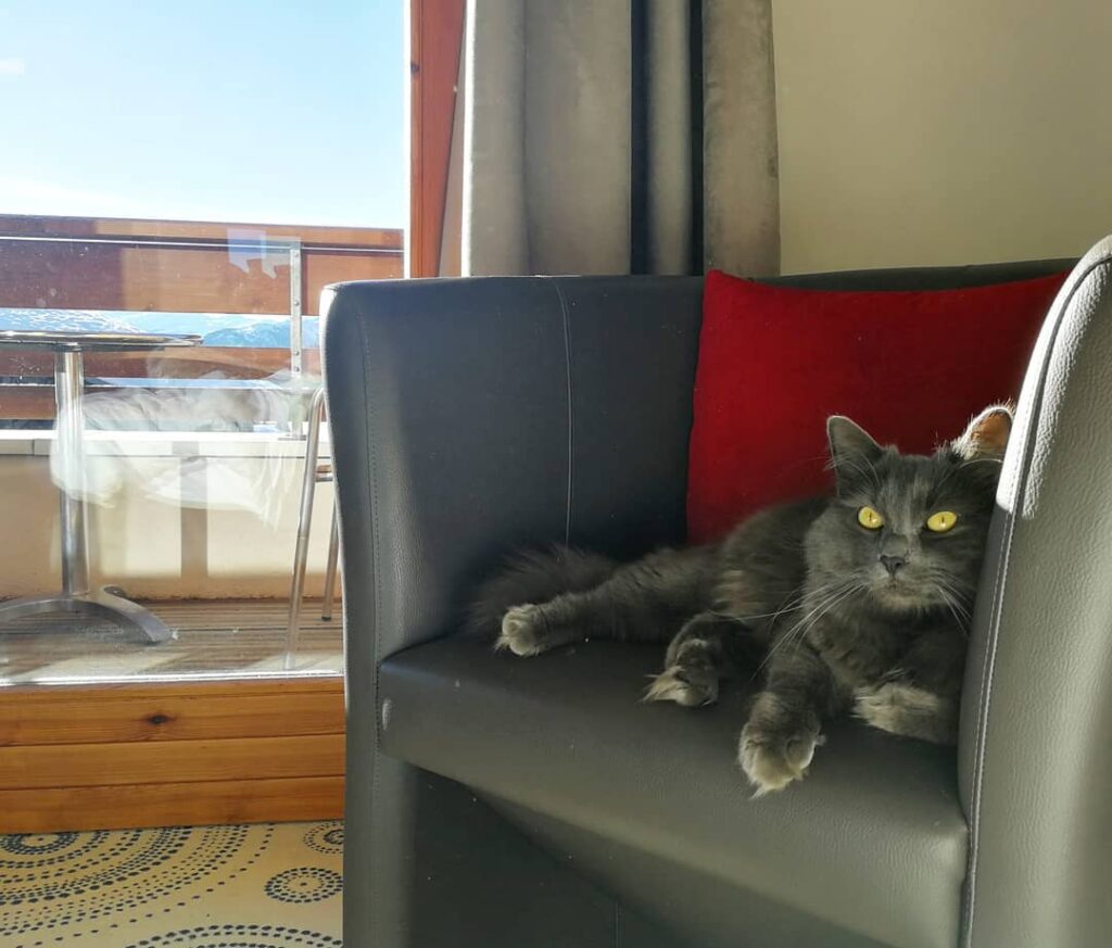 Vacanze invernali