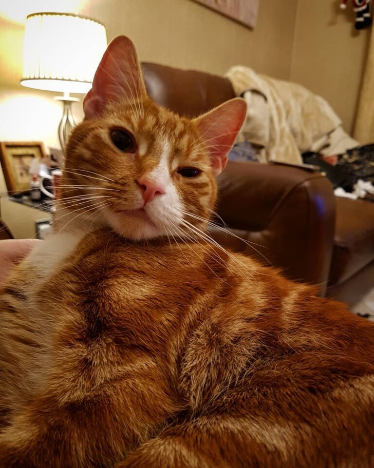 What do you mean “No more treats”?