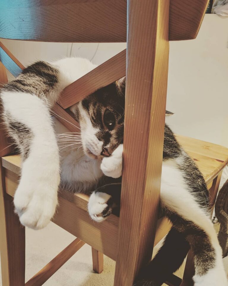 Whatcha doing little weirdo?
