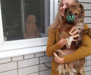 FunnyCatSite