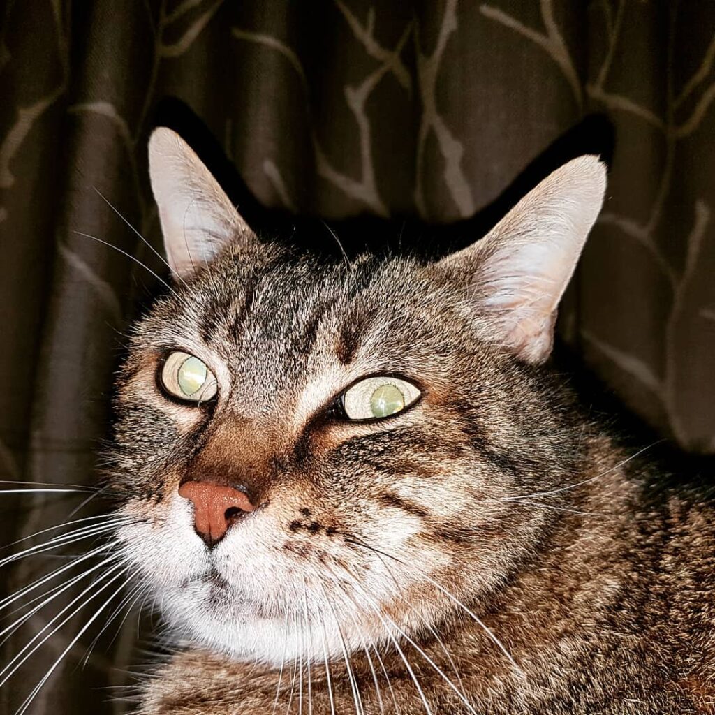 Fat Fonz looking rather disturbed