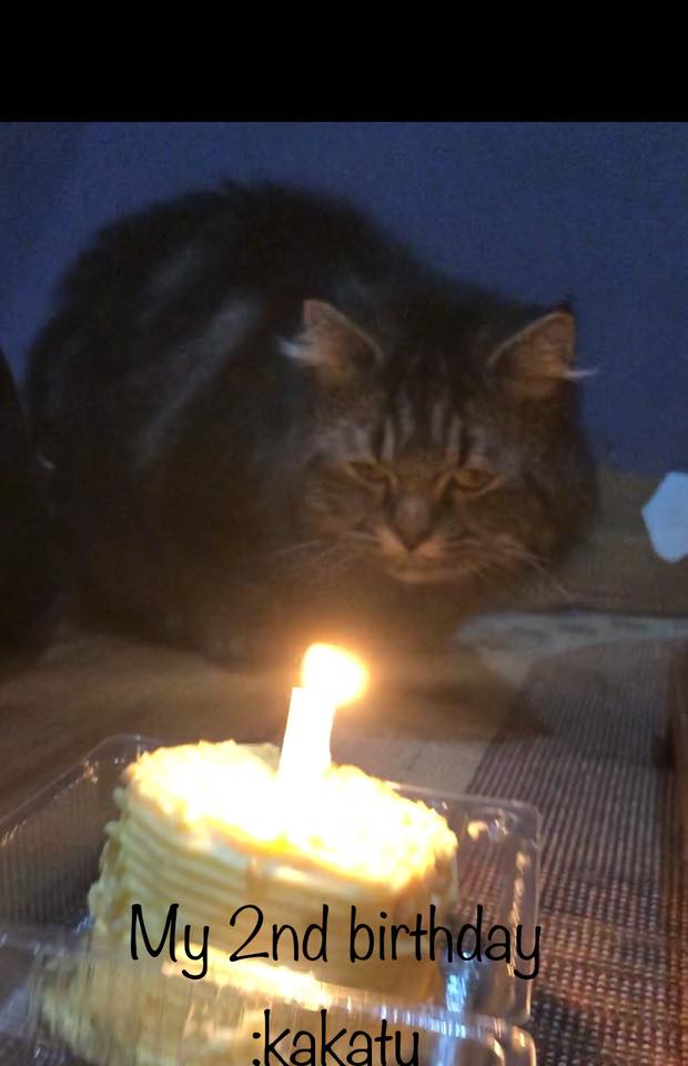 Its my birthday today