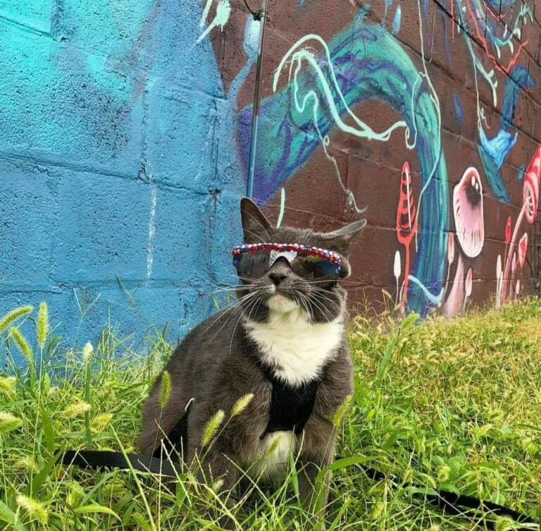 Ready to rave!