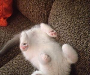 Dreaming On My Back
