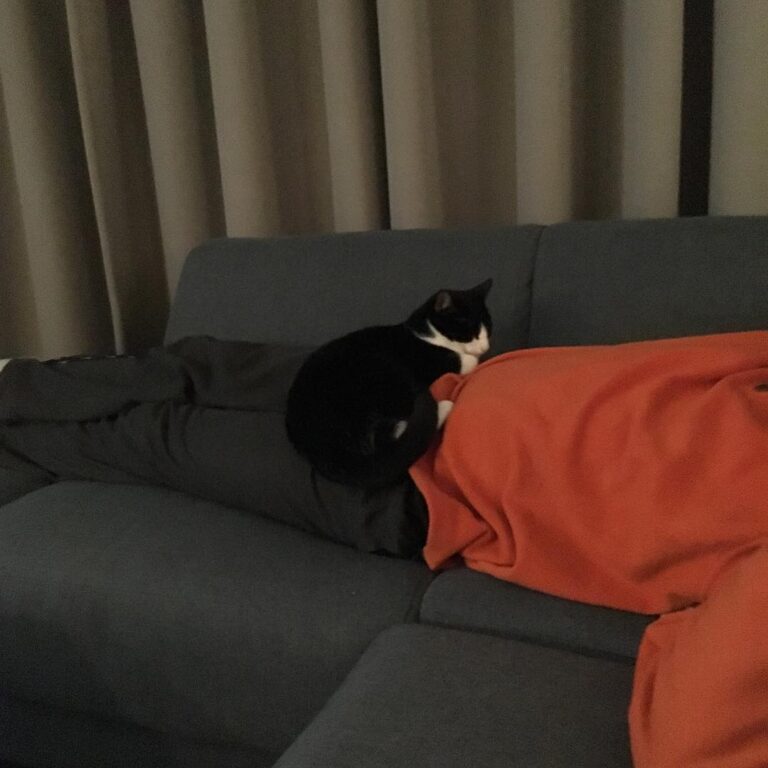 And when he’s finished working, I’ll make sure he can’t do anything
