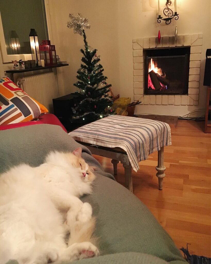 Chilling at hoodad’s. _______________________________________________