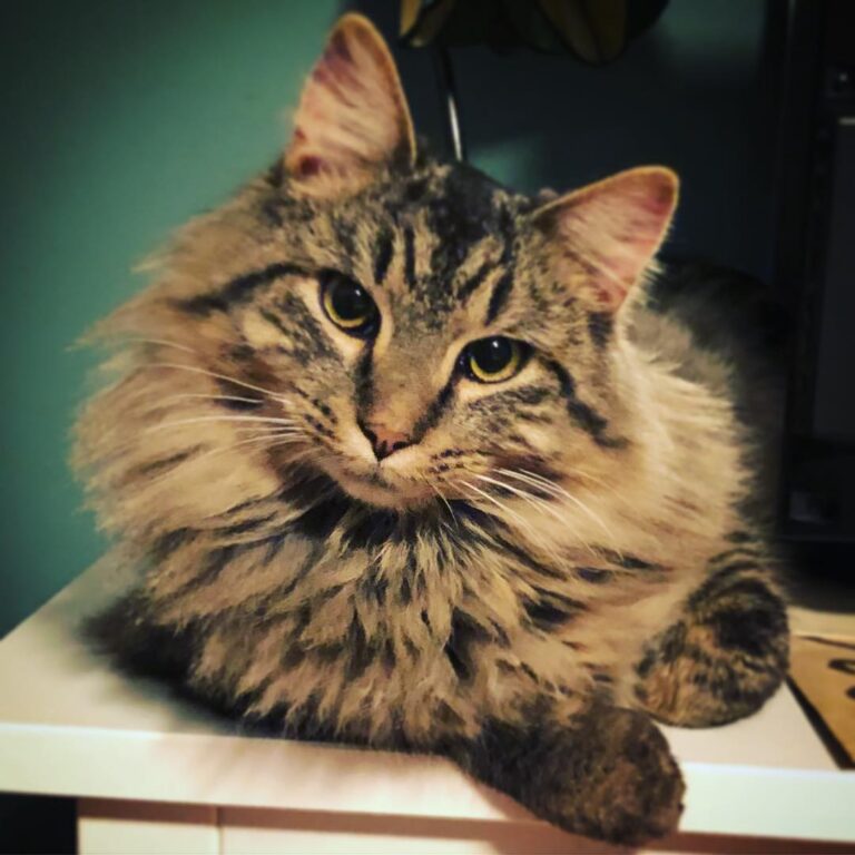 Don’t hate me because I’m beautiful!