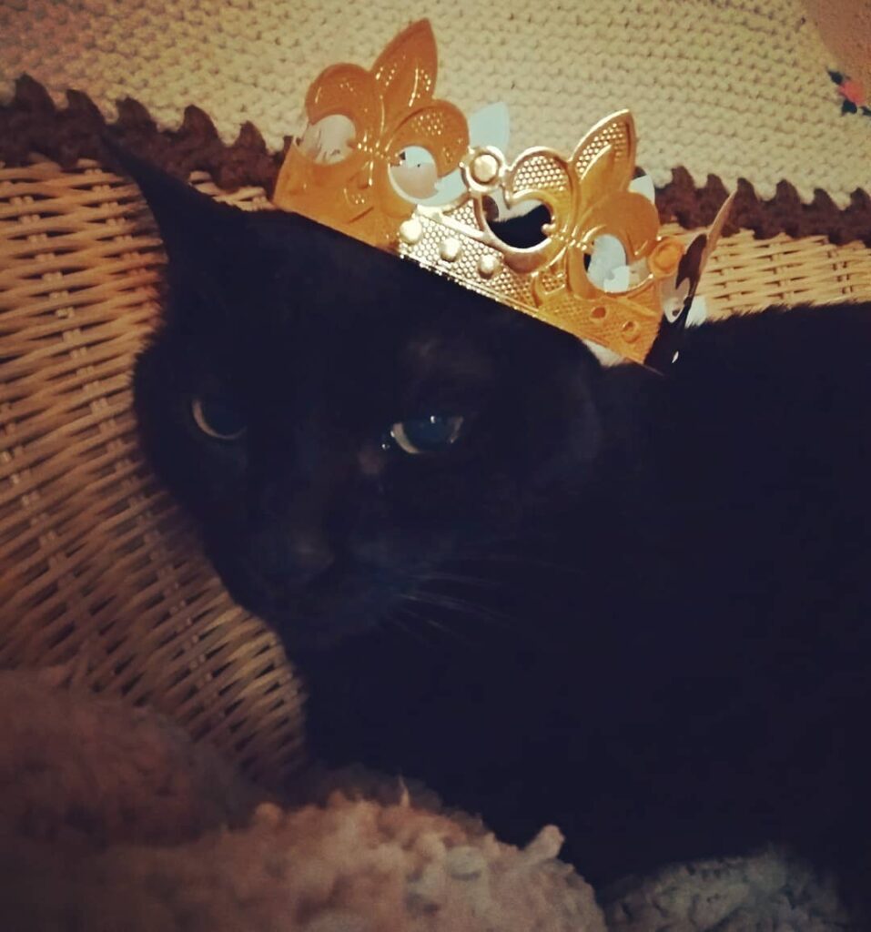 El rey de la casa