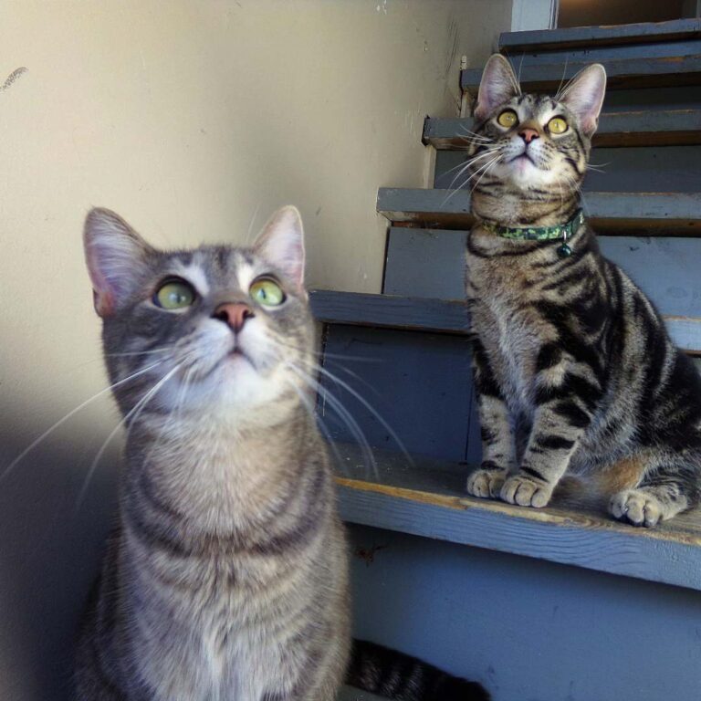 FINALLY! A picture where you can at least make out both their faces.
