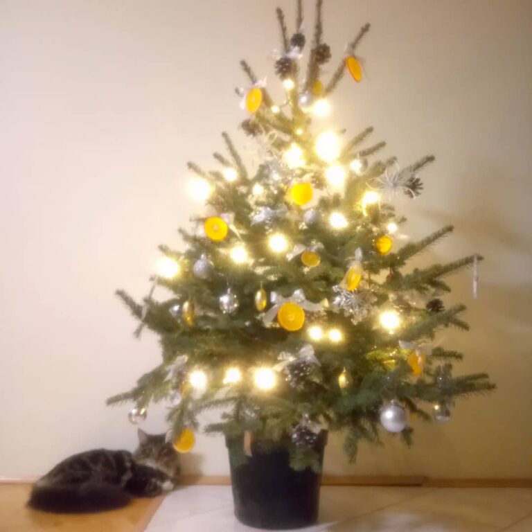 Guardian of Christmas:) śny