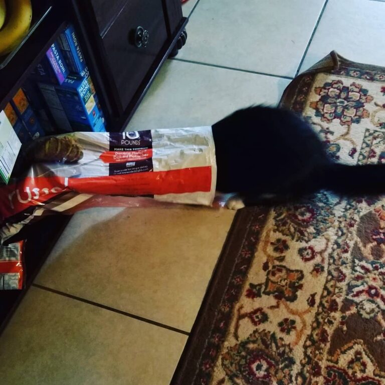 I wanted to help mom make mashed potatoes