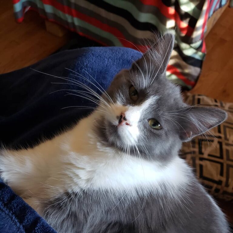 Just a nice day relaxing with mom