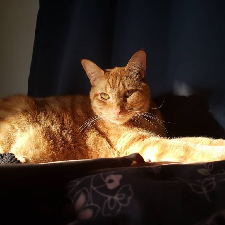 Just an appreciation post for my son
