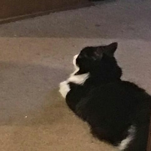Leg? Found