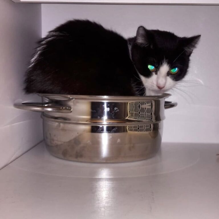 Mensch.. lass mich in Ruhe schlafen!