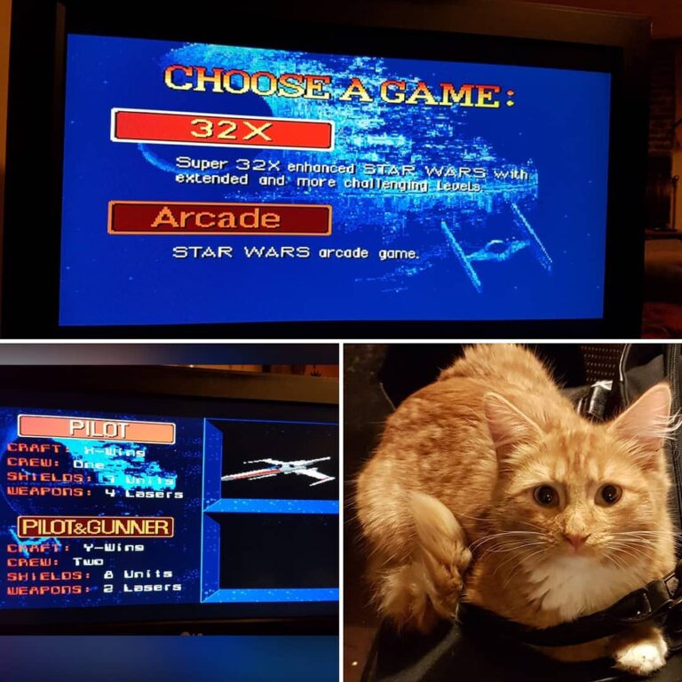 My game of choice (while my partner cooks), and my co-pilot, Hodor.