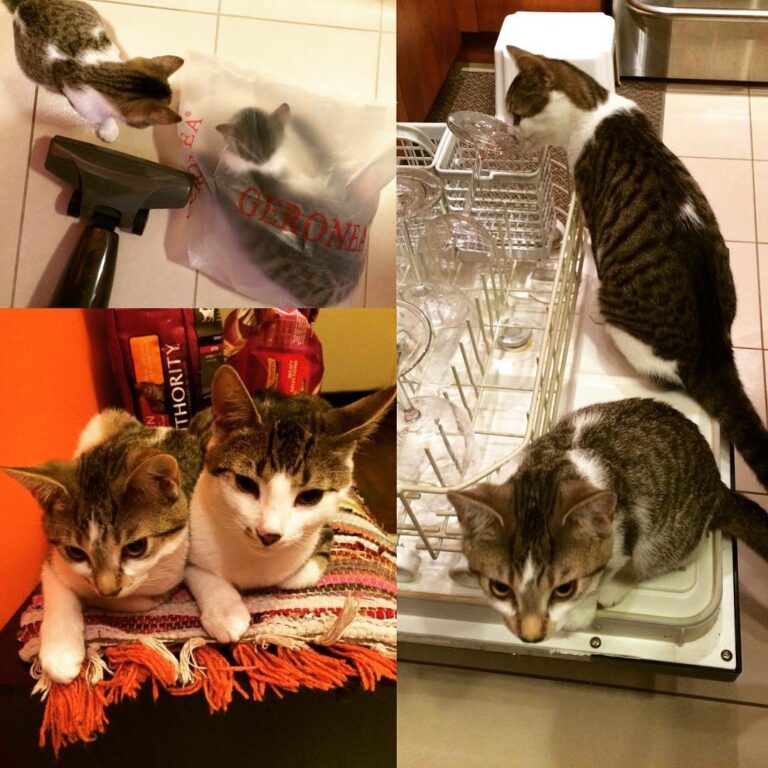 My little clean up team When they were kids