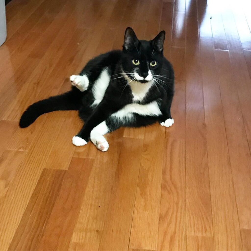 New year, new me. Practicing my leg lifts cuz you know these hips