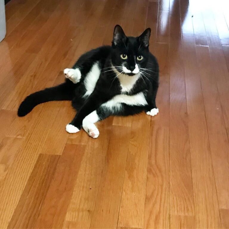New year, new me. Practicing my leg lifts cuz you know these hips