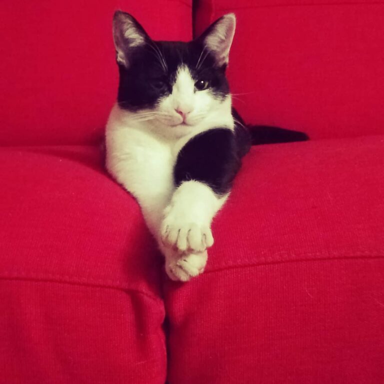 Princess Ginny . . .