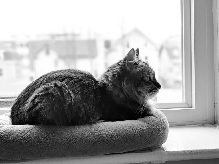 Roo loaf