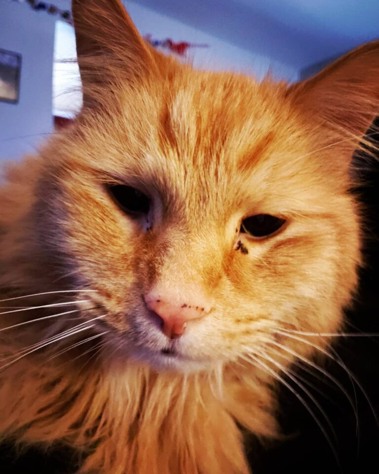 Someone has been crazy jealous of all the attention Bruce is getting.