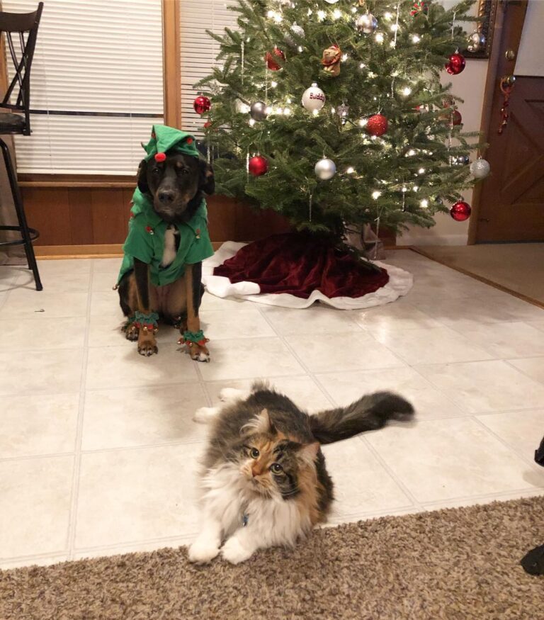 The saddest yet best series of pictures ever… Mom-1 Rory-0 • • • • •