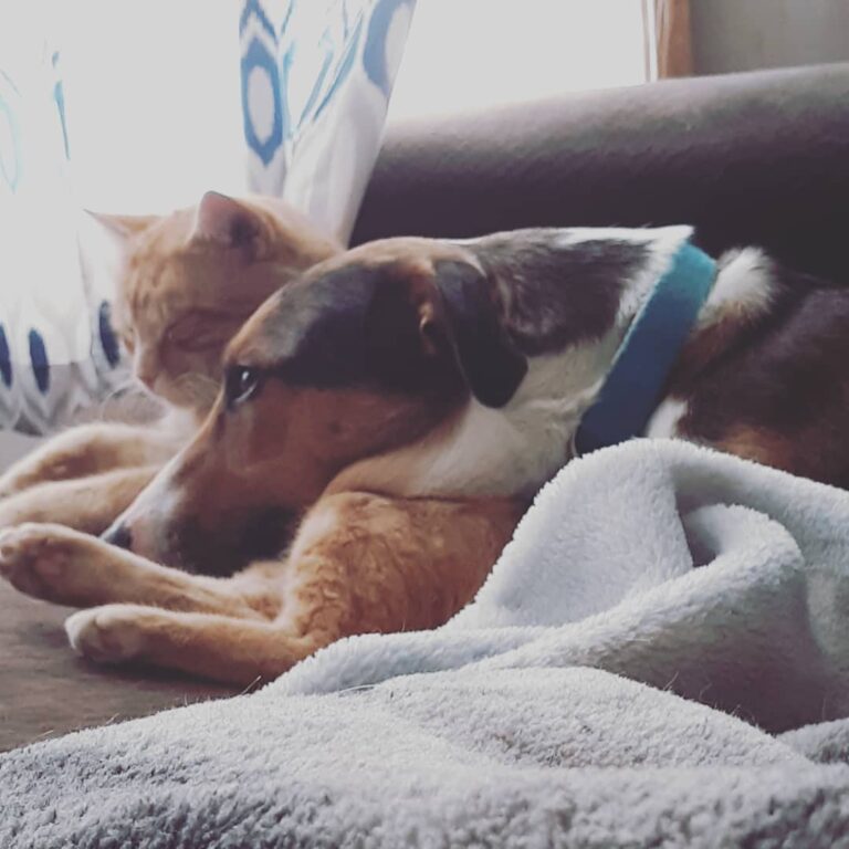 These 2 are best friends