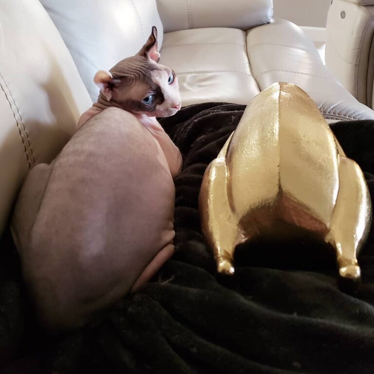 Whats up, Chicken Butt? .