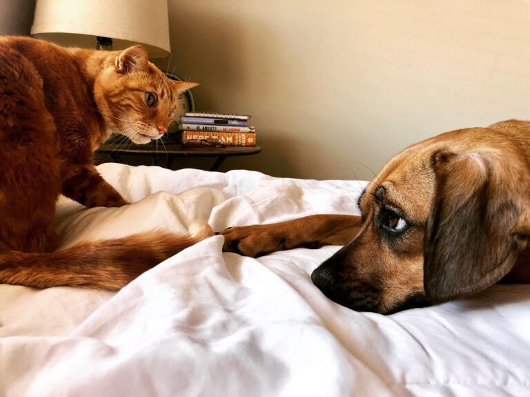 Why can’t we be friends?