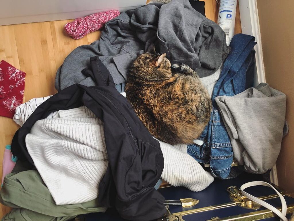 You should really clean your room up mommy…but it is a great nap spot