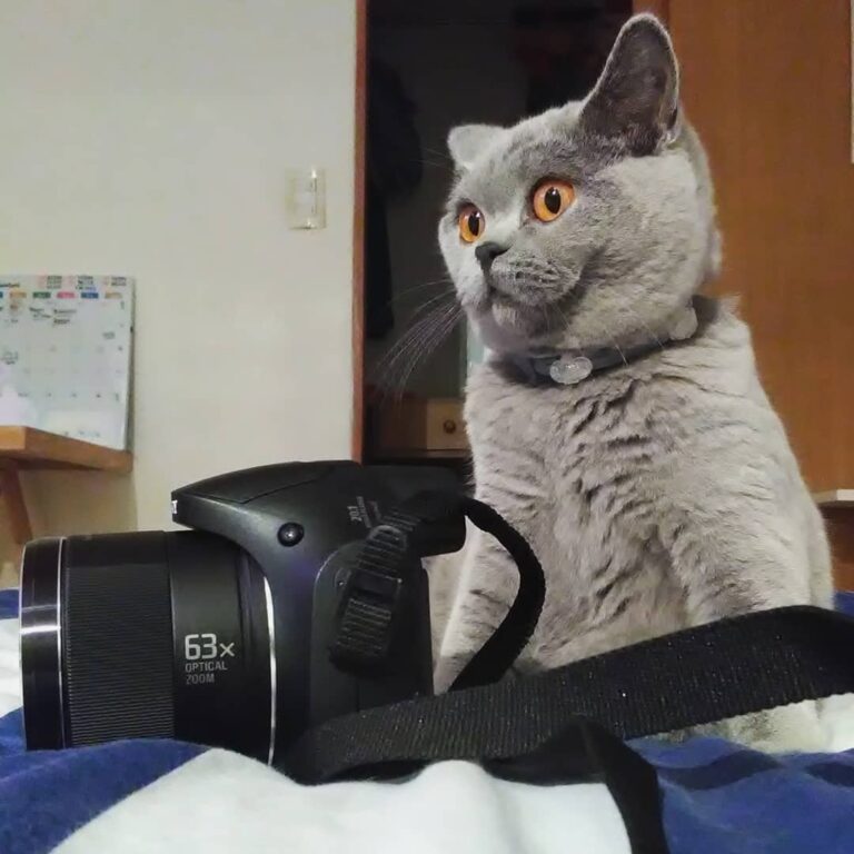 . . .