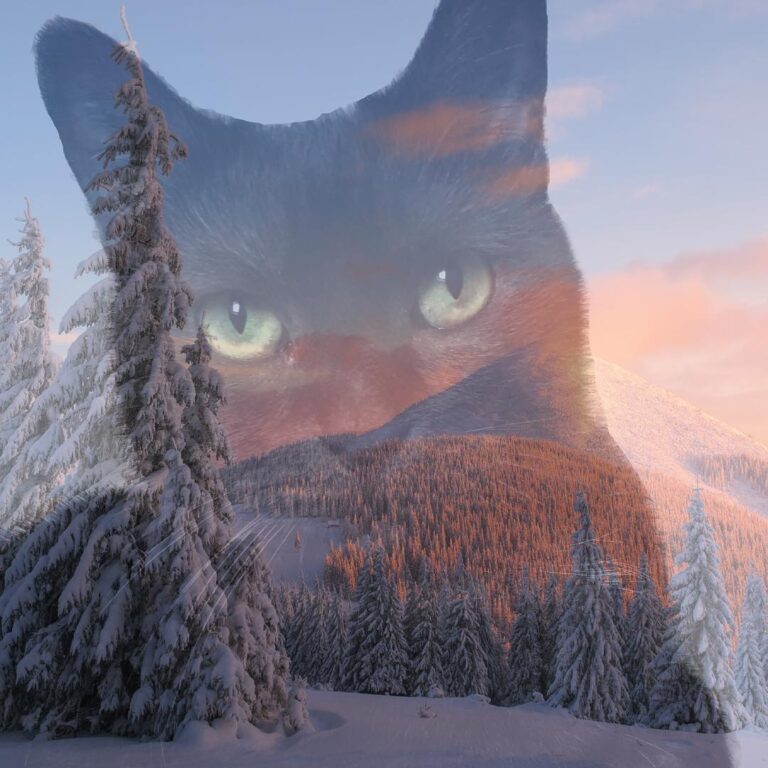 Love snow