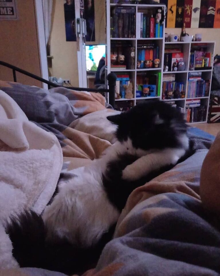 Back to my fluff