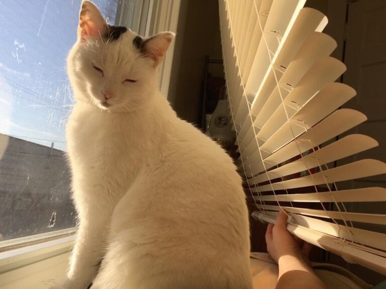 Basking in the glorious morning sunshine . . .