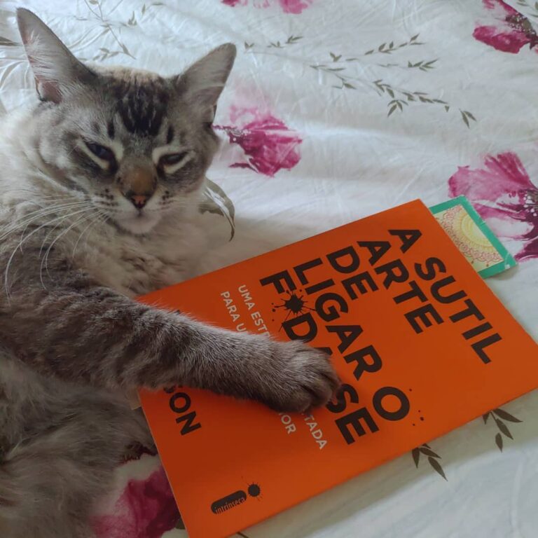 Cansei de ser gata, agora eu vou ligar o fda-se . . . .