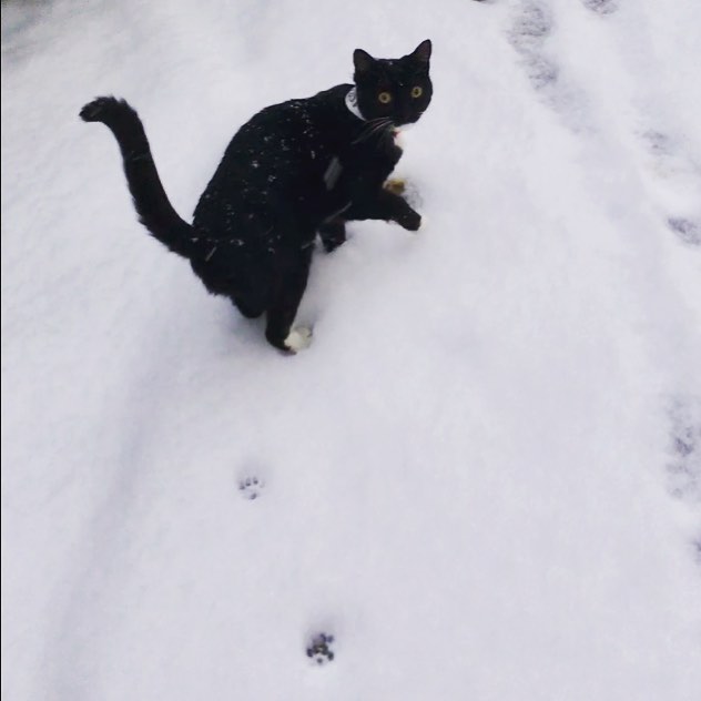 Creating her own footsteps