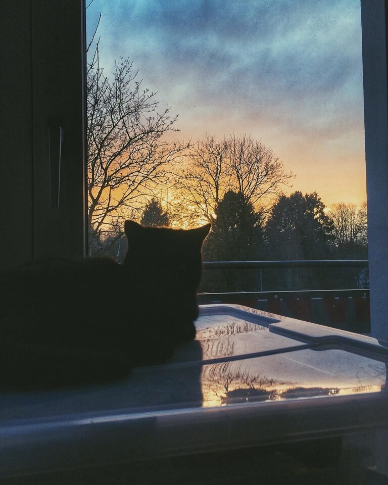 Die Sonnenuntergänge sind zur Zeit wieder Traumhaft . . . . . . . . .