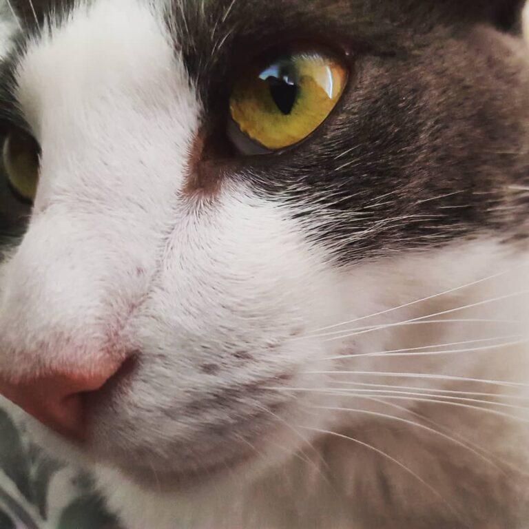 É 2019 e eu tô como??? LINDO! Não é mamãe?