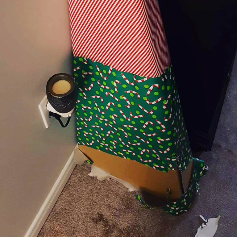 Found the box humammy