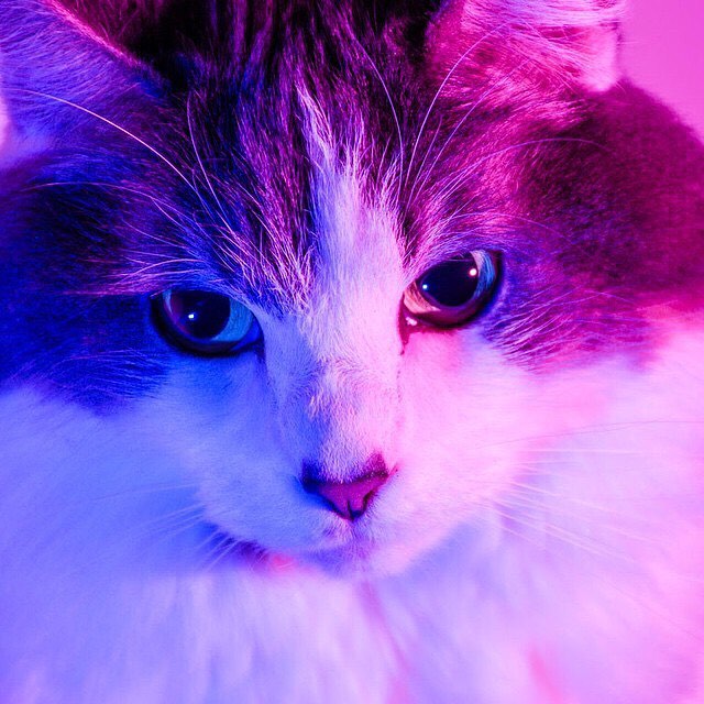 Fun with off camera flashes and colored gels. No edits except for