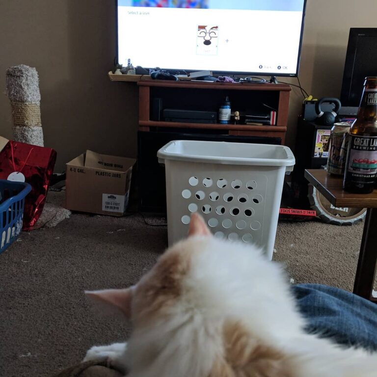 Happy Caturday from Harold and I! We’re sitting at home playing on